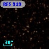 RFS  919