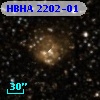 HBHA 2202-01