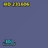 HD 231606