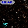 RRF  443