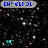 EM* VES   31