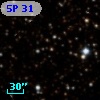 5P 31