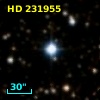HD 231955