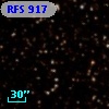 RFS  917
