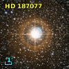 HD 187077