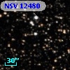 NSV 12480