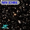 NSV 12491