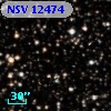 NSV 12474