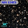 NSV 12473
