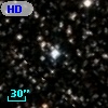 HD 350771