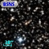 BSNS 100