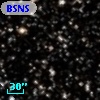 BSNS 106