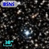 BSNS 115