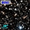BSNS 132