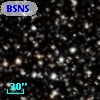 BSNS 134