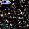 BSNS 141