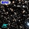 BSNS 155