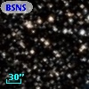 BSNS 166