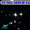 Cl* NGC 1039     JP     115