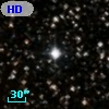 HD 350881