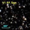 V* EF Sge