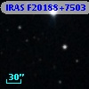 IRAS F20188+7503