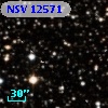 NSV 12571