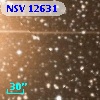 NSV 12631