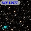 NSV 12677
