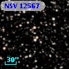NSV 12567