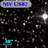 NSV 12602