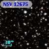 NSV 12675