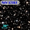 NSV 12561