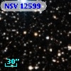NSV 12599