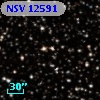 NSV 12591