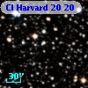 Cl Harvard   20    20