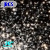 [BCS2004] M 71 C51287+4050