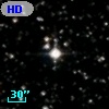 HD 351335
