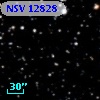 NSV 12828