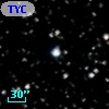 TYC 1622-1114-1