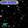 NSV 12755