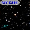NSV 12864