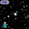 TYC 1635-1337-1