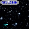NSV 12980