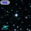 TYC 1631-2286-1
