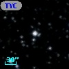 TYC 1632-1365-1