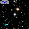 TYC 1635-1013-1