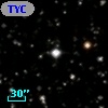 TYC 1635-1490-1