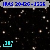 IRAS 20426+1556