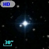HD 199517
